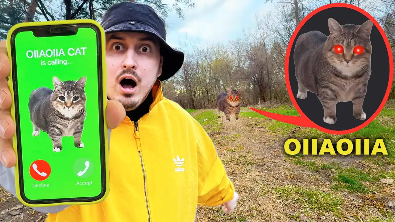 OIIAOIIA CAT is Calling NIKPIG - Spinning Cat Meme Remix 2025